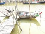 เรือกอจ๊านในคลองบางใหญ่